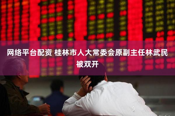 网络平台配资 桂林市人大常委会原副主任林武民被双开