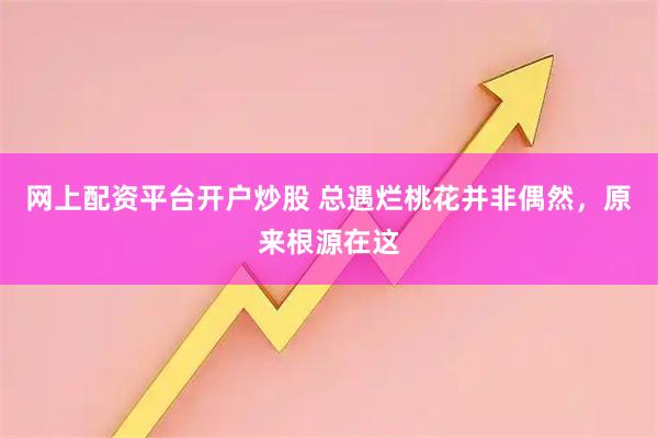网上配资平台开户炒股 总遇烂桃花并非偶然，原来根源在这