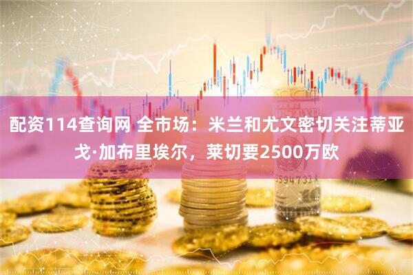 配资114查询网 全市场：米兰和尤文密切关注蒂亚戈·加布里埃尔，莱切要2500万欧